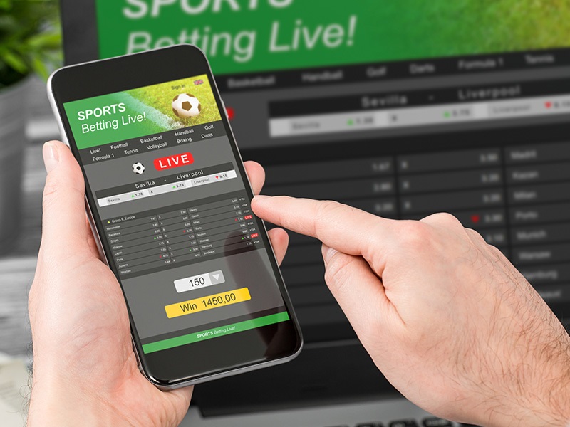 Play Like a Pro With This Beginner’s Guide To Online Betting